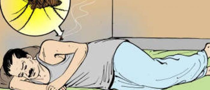 दार्चुला(हिमाल)मा कालाजार