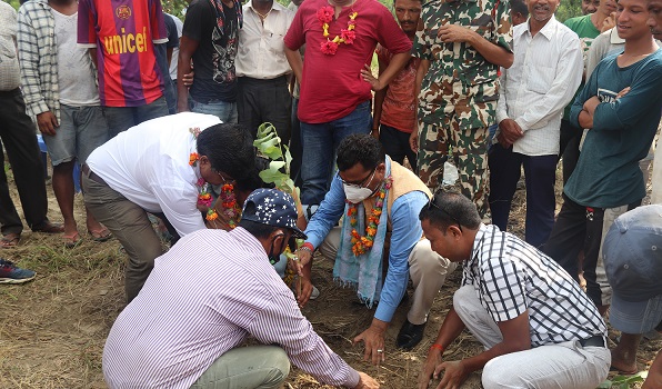 एकै दिन १७ हजार बिरुवा रोपियो