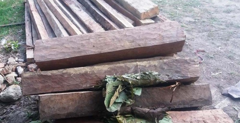 लुकाएर राखिएको ६८ थान सालको काठ बरामद