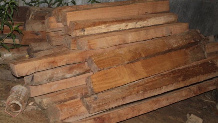 ९५ क्यूफिट सालको काठ सहित पाँच जना पक्राउ