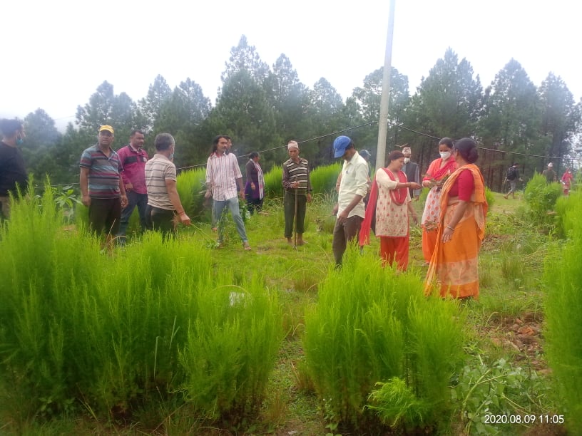 भ्रष्टाचारविरुद्ध खबरदारी जनाउदै कांग्रेसद्वारा बुडरमा वृक्षारोपण