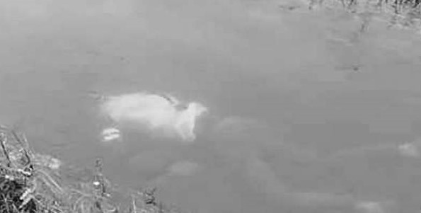 माछा मार्ने क्रममा एक जनाको मृत्यु