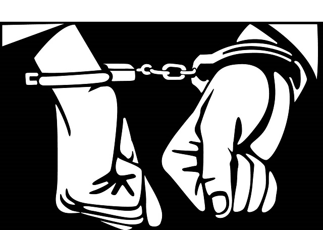 वसन्तपुरबाट काठ तस्करीमा संलग्न दुई जना पक्राउ