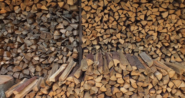 सामुदायिक वनलाई दाउरा आपूर्तिमा समस्या