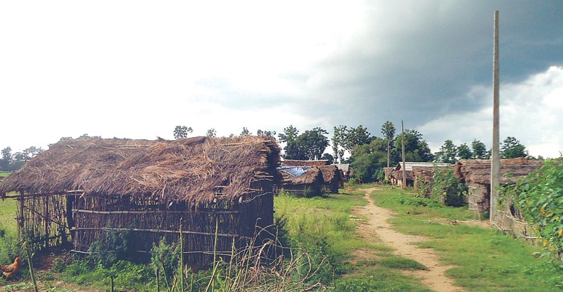 चिसो बढेपछि मुक्त कमैया तथा भूमिहीन बस्तीमा दैनिकी कष्टकर