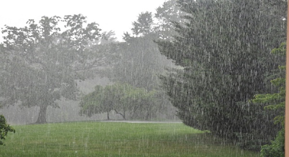 लामो समयपछि वर्षा, बैतडीका किसान खुशी