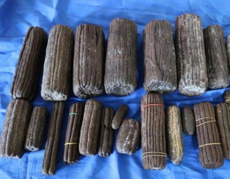 सात किलो चरेससहित होटेल सञ्चालक पक्राउ