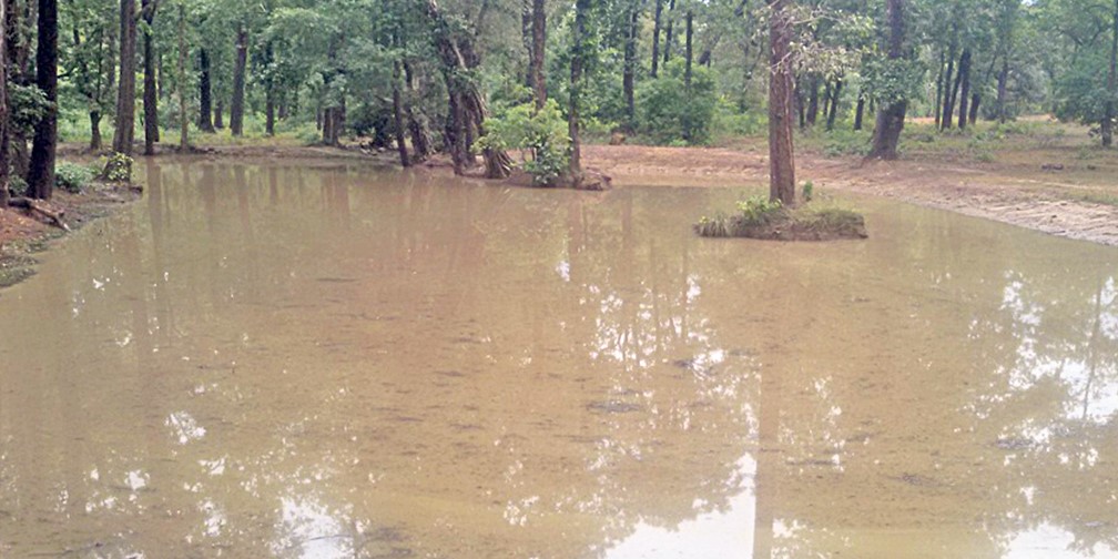वन्यजन्तु संरक्षणमा चासो