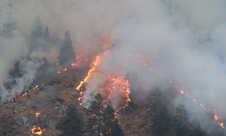 जंगलमा लागेको आगो निभाउँदा एकजनाको मृत्यु