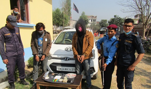 कञ्चनपुरमा लागुऔषधको जालो भत्काउँदै प्रहरी