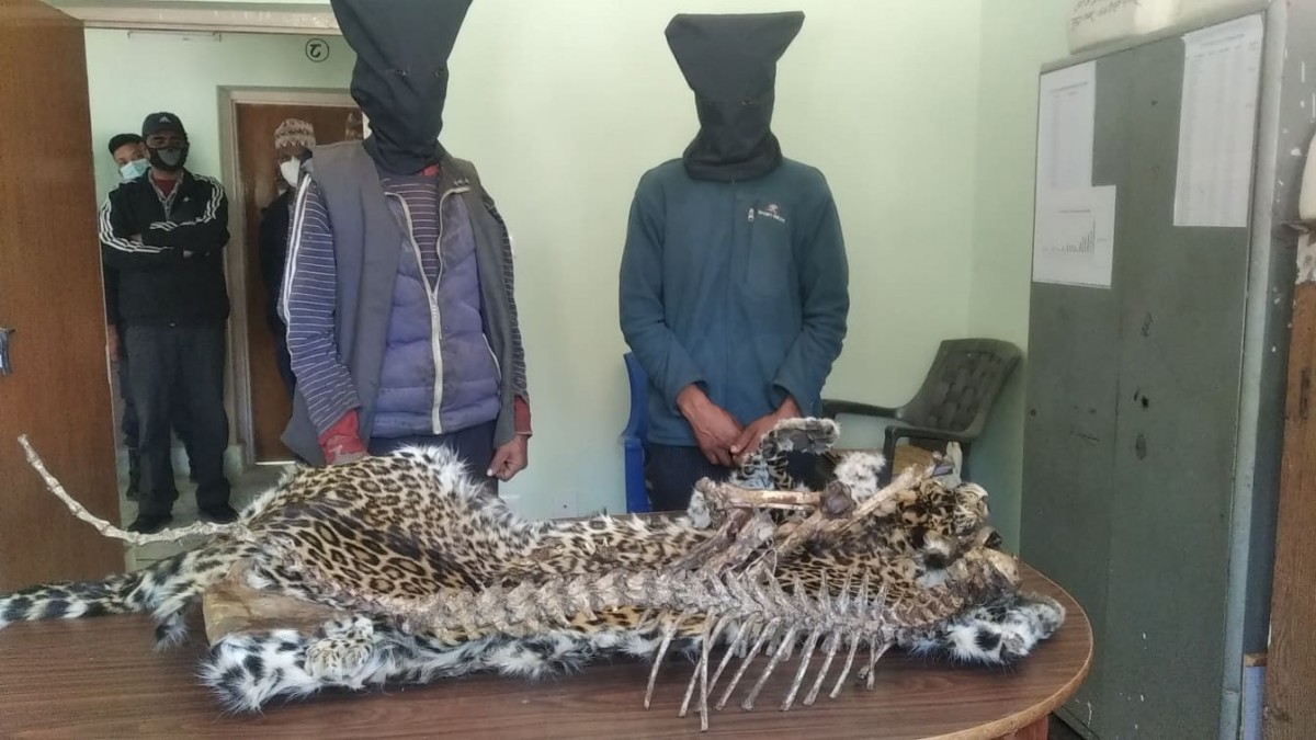 बाजुरामा चितुवाको छाला सहित २ जना पक्राउ