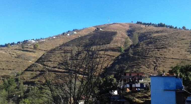 इतिहास बन्यो सतबाँझ डाँडाको स्याउ