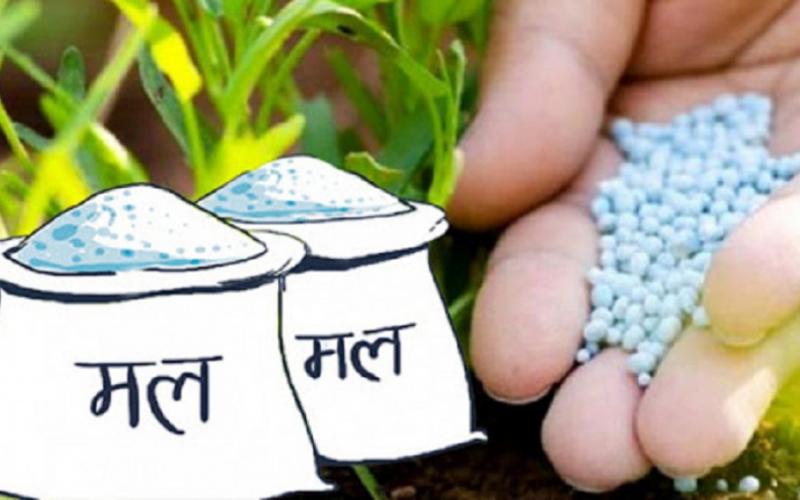 कैलालीको टीकापुरका किसानले अझै पाएनन् मल