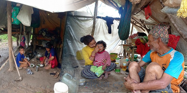 चुरेका पहिरो पीडितको जङ्गलमा बास, सरकार उदासीन