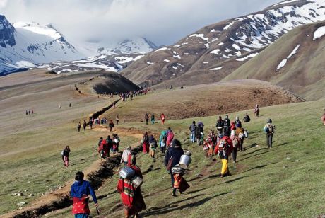 दार्चुलाका हिमाली क्षेत्रका नागरिकका लागि यार्सागुम्बा आर्थिक स्रोत
