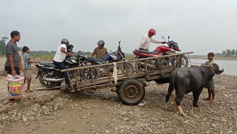 पुल सम्झौताको मिति सकिएपनि अहिलेसम्म पिल्लर समेत बनेन, वर्षामा बैलगाडाको भर