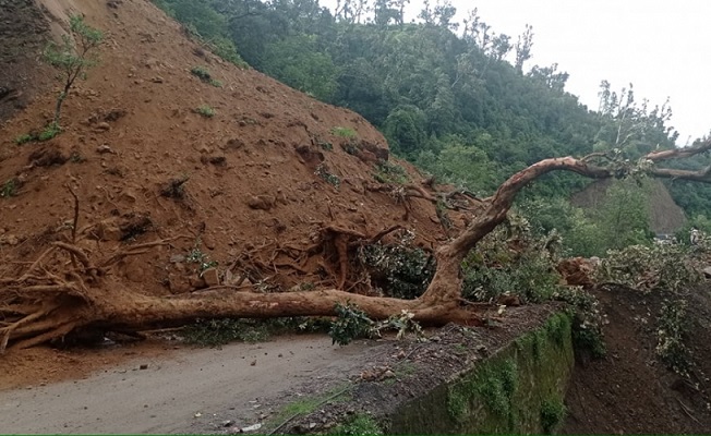 भीमदत्त राजमार्ग पुनः अवरुद्ध, पहिरोले ठूला ढुङ्गा र रुख ल्याएका कारण पन्छाउन समस्या