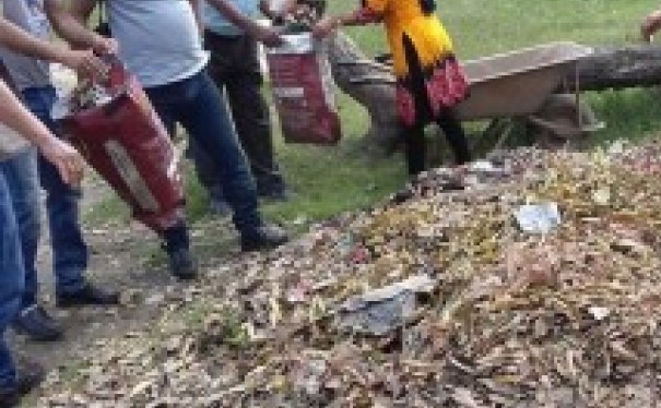 स्थानीय थाले सरुवा रोगबाट बच्न गाउँमा सरसफाइ