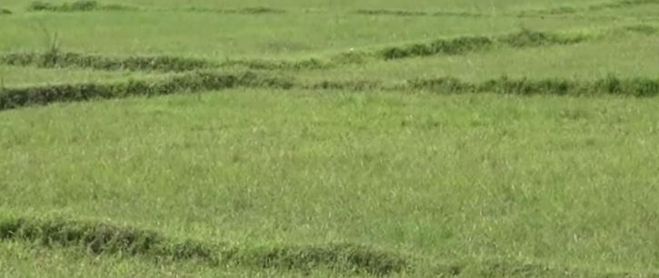 कञ्चनपुरका भूमिहीनद्वारा जग्गामा स्वामित्व माग