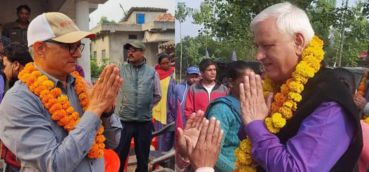 कैलाली-४ : चासोका रुपमा हेरिँदै बलायर र भट्टको प्रतिस्पर्धा