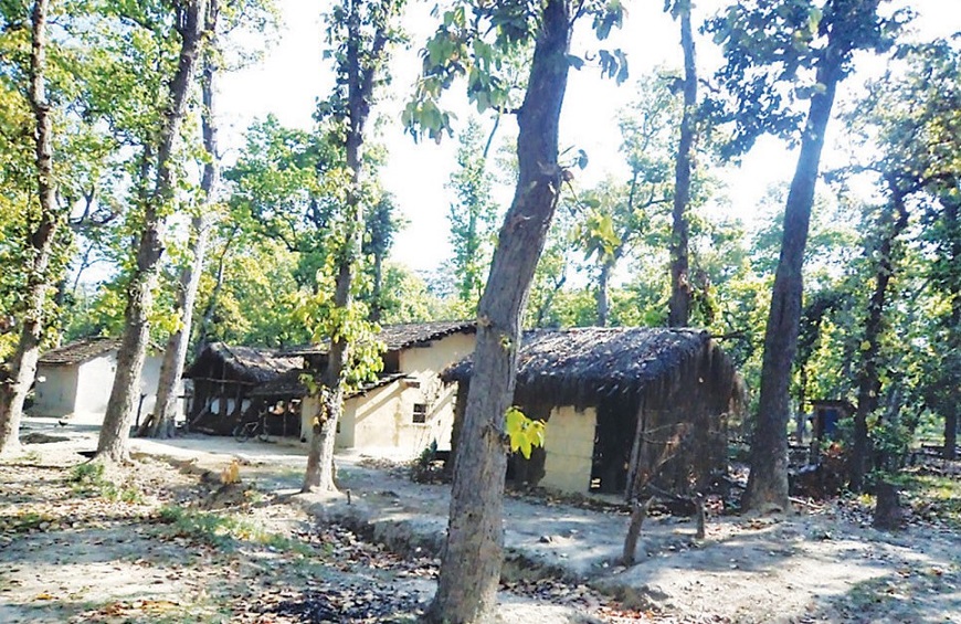 प्रदेश राजधानी घोषणा भएको गोदावरीमा वन अतिक्रमण बढ्यो