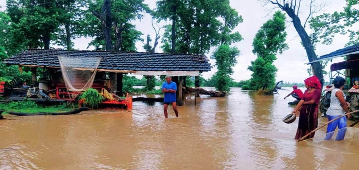 सातै प्रदेशमा आज भारी वर्षा : कैलालीमा ५ सय बढी घर डुबानमा, १७ सय बढी प्रभावित