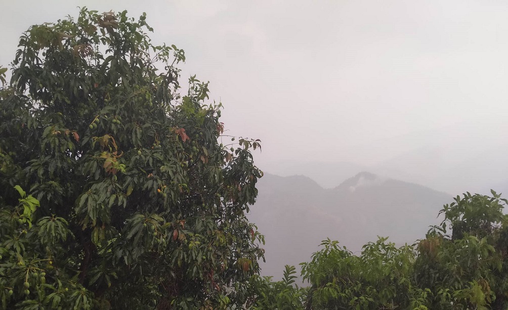 देशको पश्चिमी भेगमा मनसुन सक्रिय, आज यी चार प्रदेशमा भारी वर्षाको सम्भावना