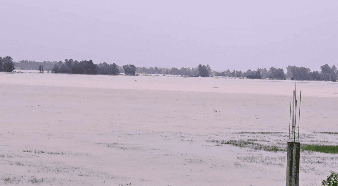 कैलालीको भजनी नगरपालिका भयो जलमग्न, हजारौँ घर विस्थापित