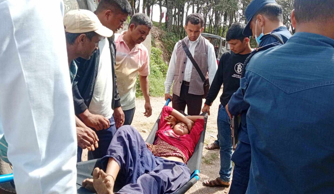 बैतडीमा चितुवाको आक्रमणबाट किशोरी गम्भीर