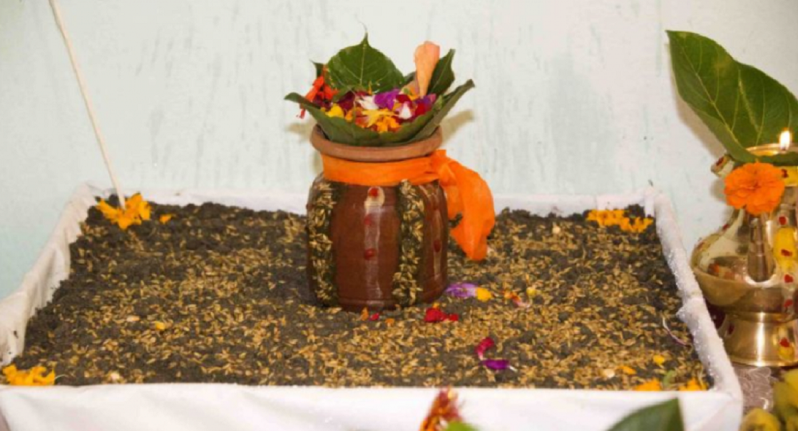 आज घर घरमा विधिवत रुपमा राखियो जमरा