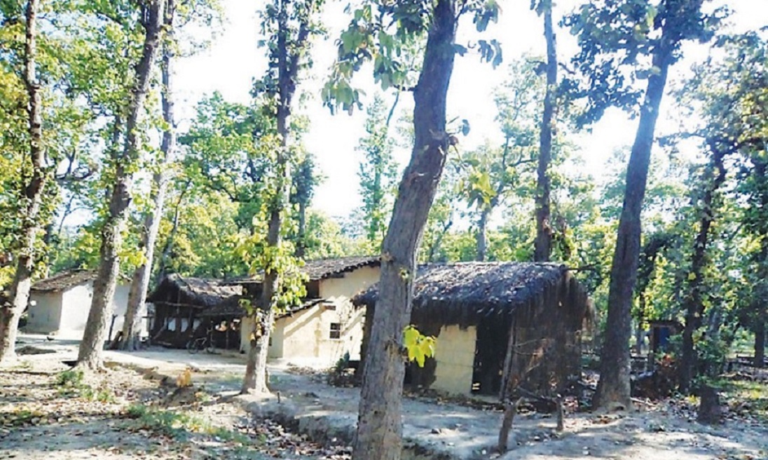 कैलालीमा अतिक्रणसँगै  विभिन्न नाममा वन मासिँदै