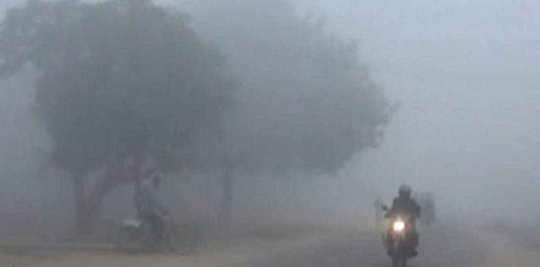 शीतलहरबाट जनजीवन कष्टकर : तरकारीबालीमा डढुवा रोगको जोखिम