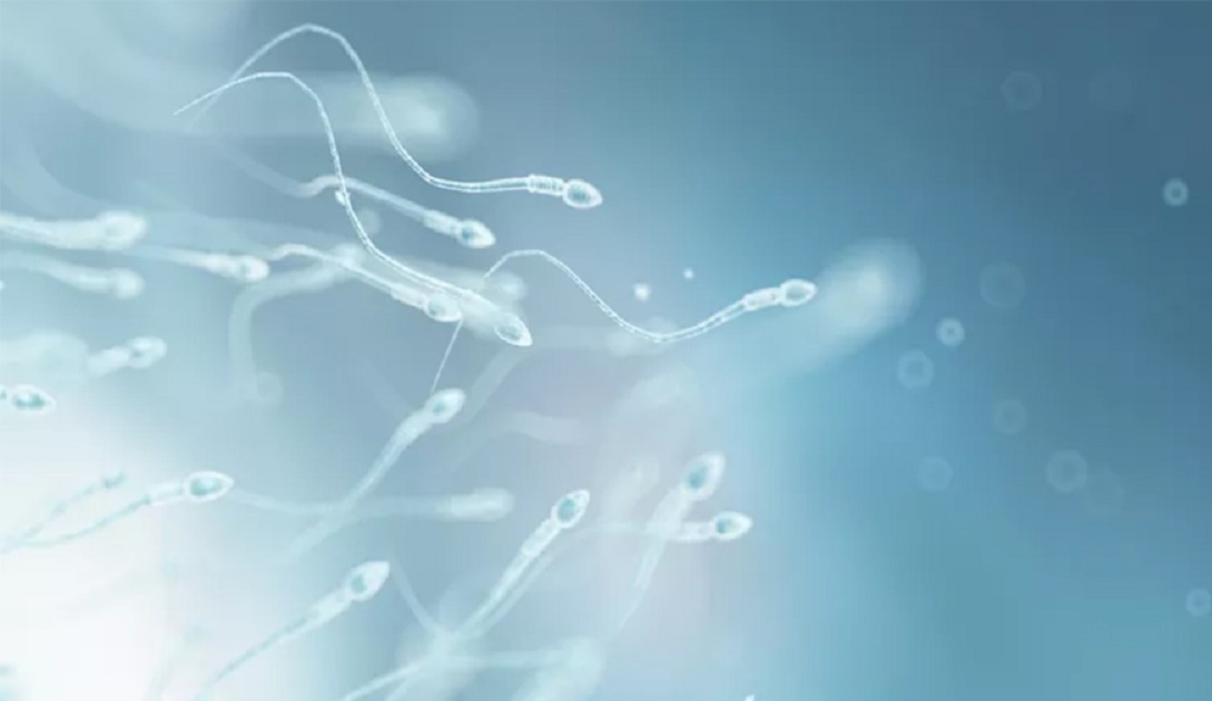 बाँकेको खजुरामा एक लाख २० हजार डोज वीर्य उत्पादन