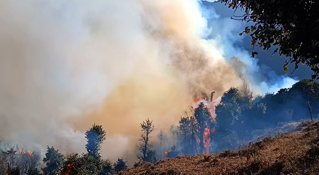 वन डढेलोका धेरै घटना तराईमा, क्षति बढी पहाडमा