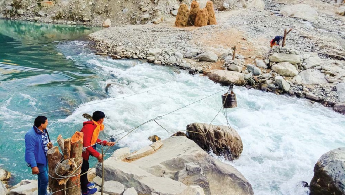 अझै चल्दै छन् देशभर चौध अवैध तुइन