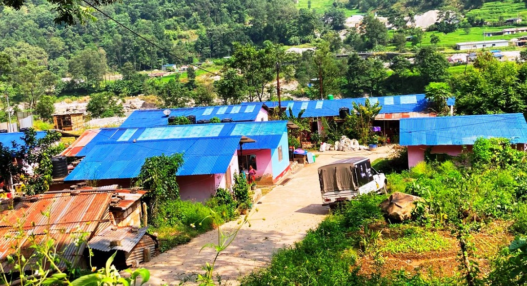 दसैंमा जमारा राखे अशुभ हुन्छ ठान्ने सीमान्तकृत समुदाय