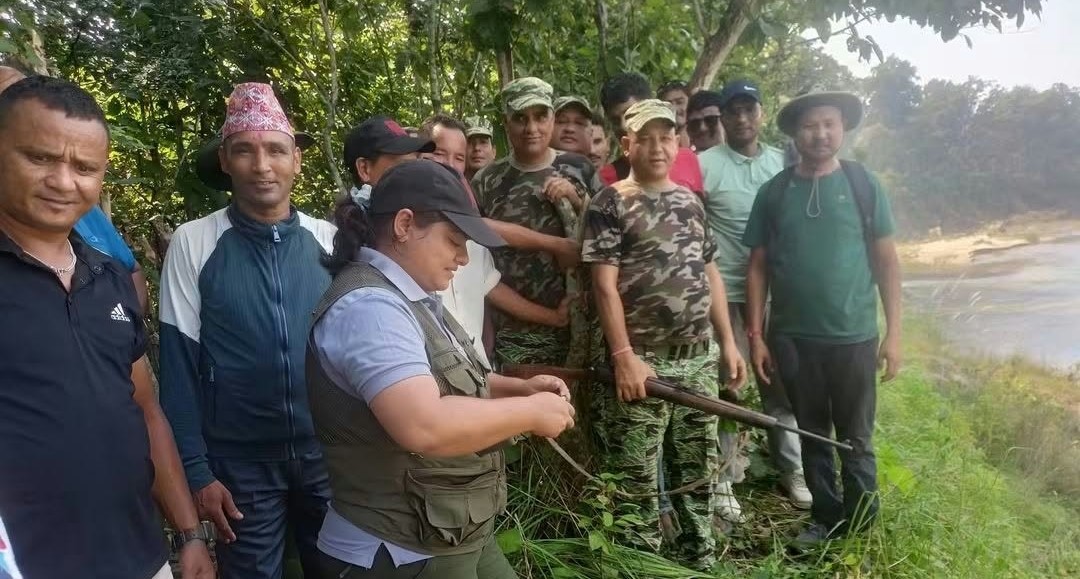 धनगढीमा पाटेबाघको पाइला भेटिएपछि वन क्षेत्र आसपास सतर्क रहन आग्रह