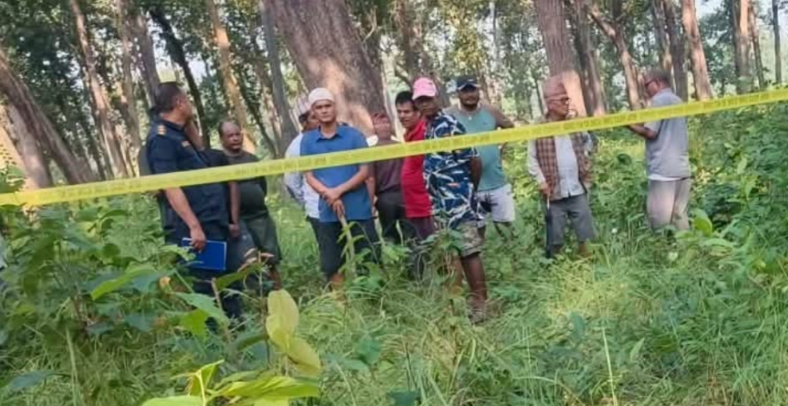 च्याउ टिप्न गएका कैलालीका ४० वर्षीय चौधरीको बाघको आक्रमणबाट मृत्यु